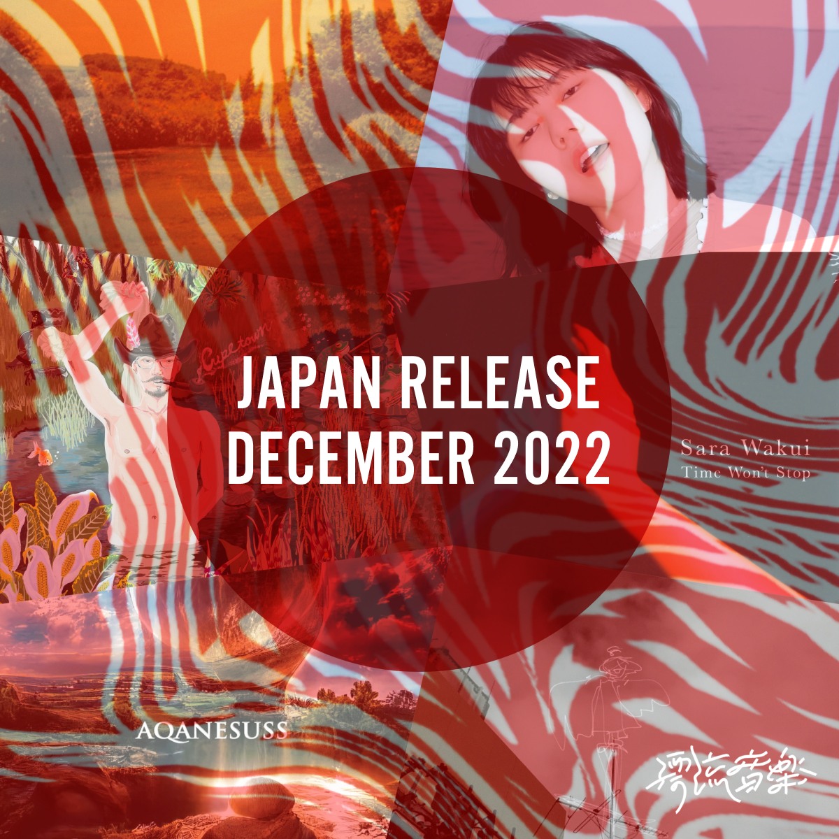 🎌Japan Release December 2022🎌