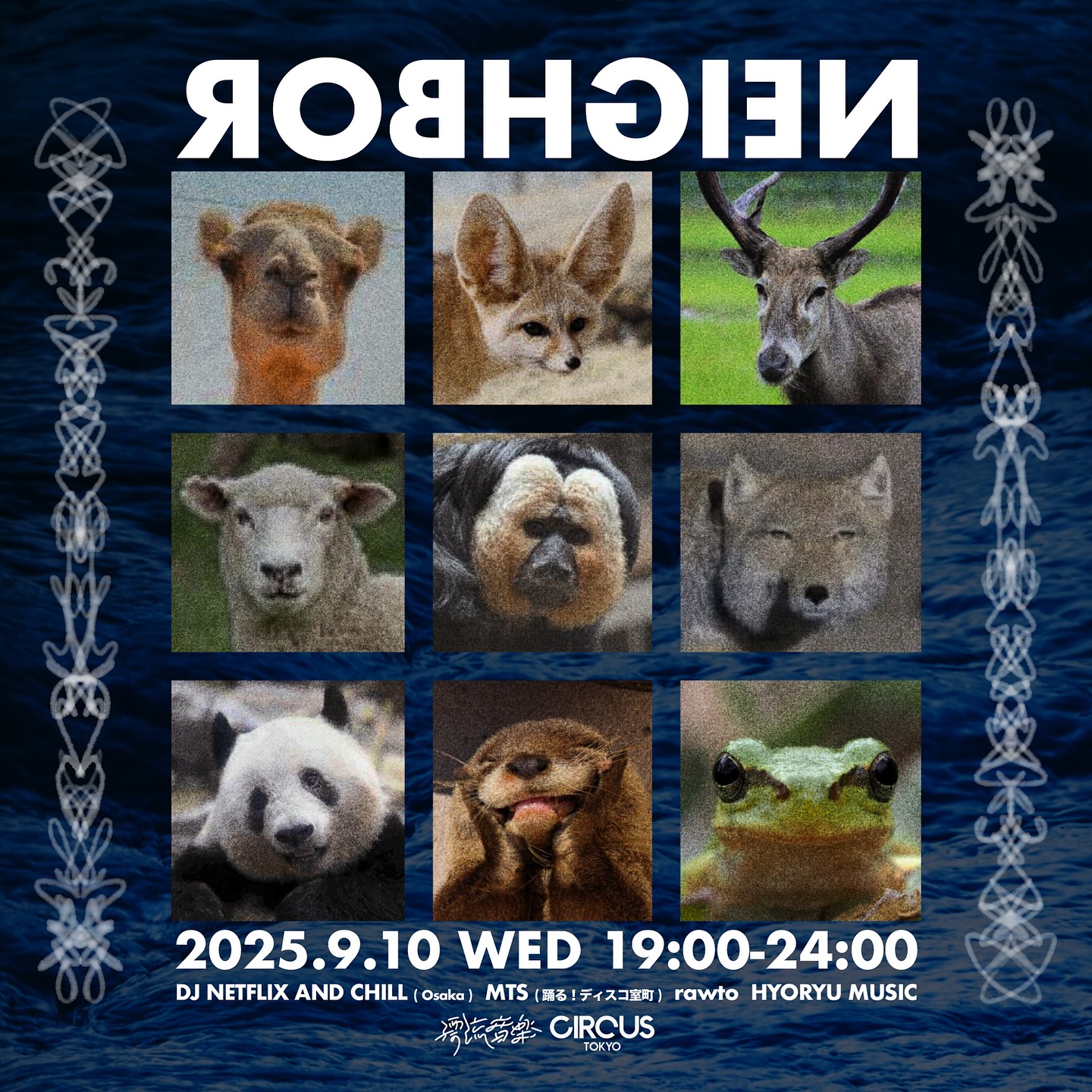 -𝐍𝐄𝐈𝐆𝐇𝐁𝐎𝐑-